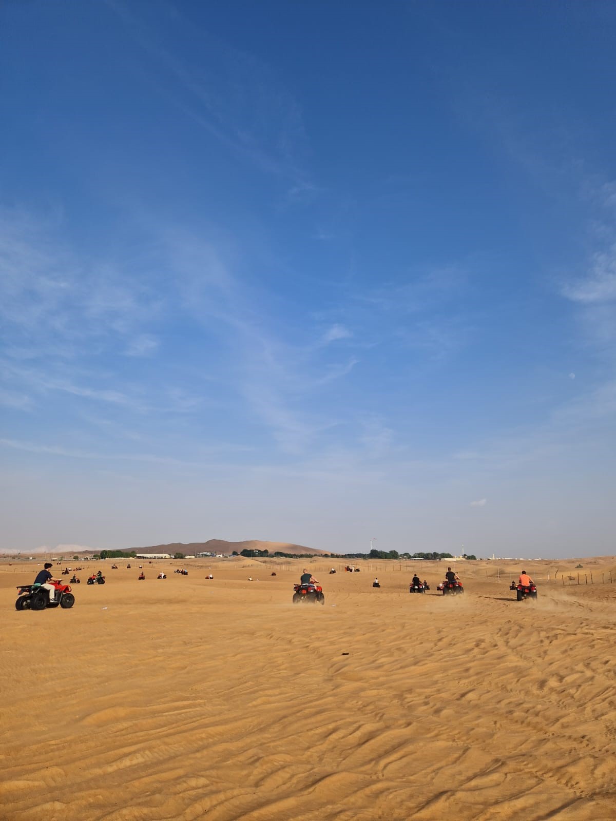 The land of unlimited possibilities Global Dairy Farmers