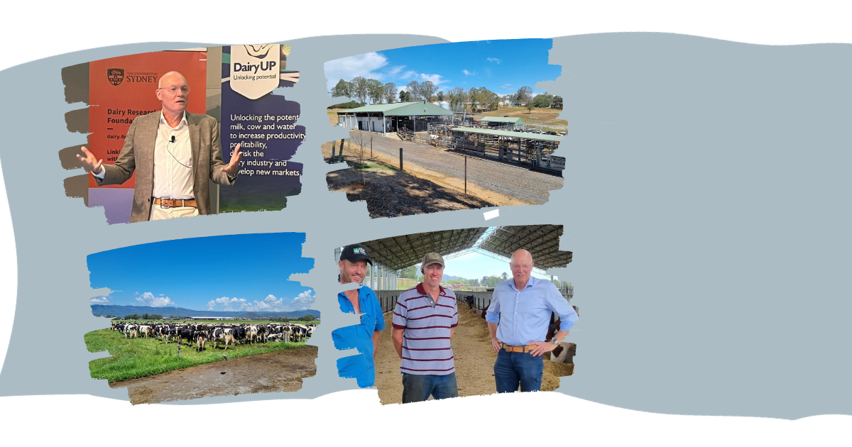 Kopie Van Webinar (1)