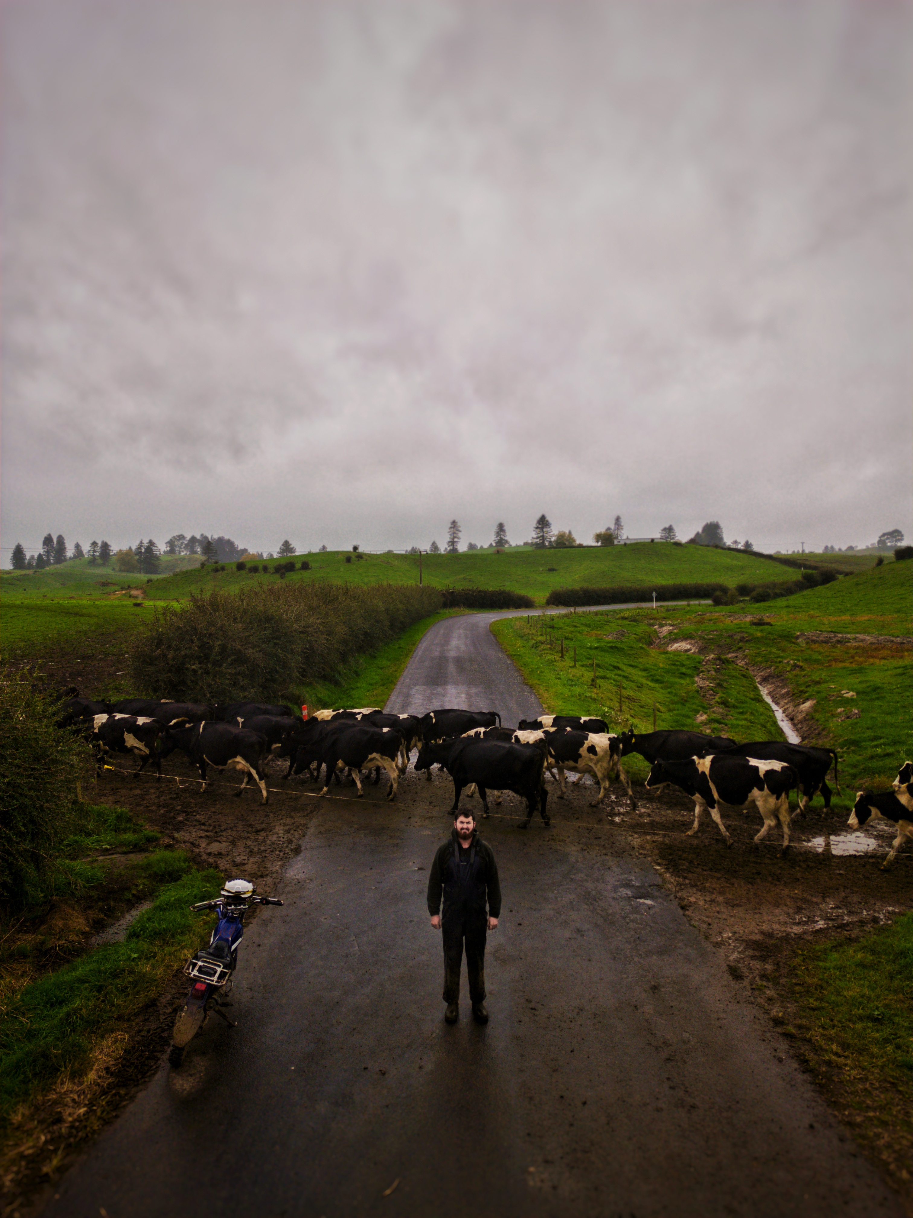 Interview with Padraic Nangle; Mastering Dairy Innovations Global